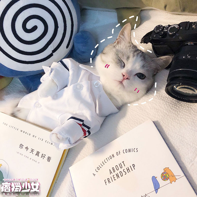 痞猫少女猫狗秋春秋服潮绅士衬衫裙子雪纳瑞泰迪宠物衣服绅士风|msdalam kategori haiwan peliharaan/makanan haiwan dan bekalan, Haiwan pakaian dan aksesori, haiwan pakaian/baju hujan - dari Buy2taobao.com untuk memberikan perkhidmatan ejen Taobao profesional membeli