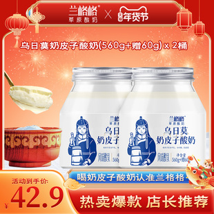 【官方正品】兰格格乌日莫奶皮子低温酸奶620g正宗内蒙古浓稠大瓶