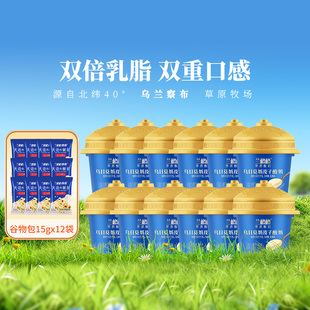 兰格格草原酸奶乌日莫奶皮子酸奶140g*12内蒙古特产低温老酸奶