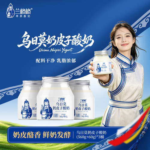 兰格格奶皮子酸奶内蒙古特产