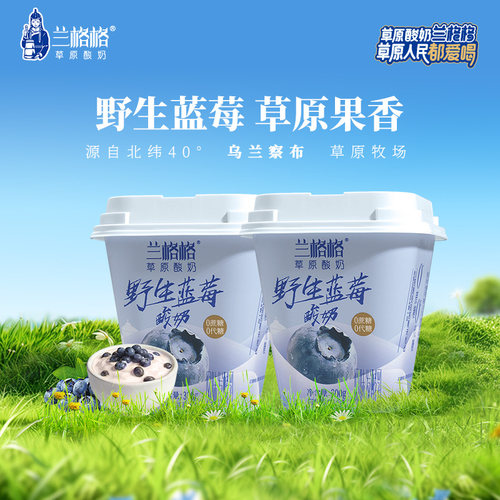 兰格格草原酸奶野生蓝莓味300g*2杯0蔗糖0代糖低温酸奶组合装包邮