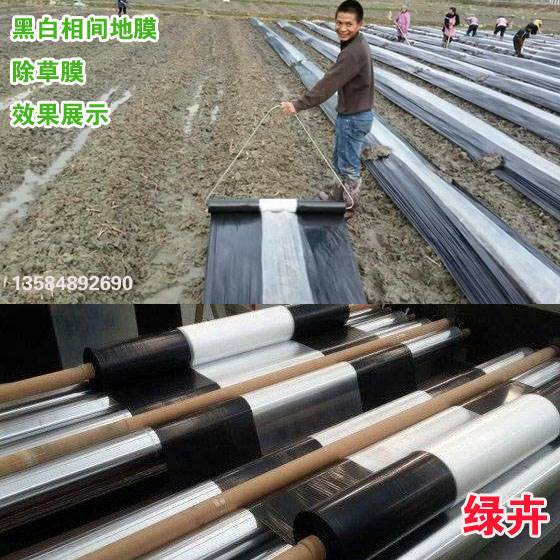 厂家直销农用黑白相间地膜除草膜白加黑塑料薄膜银黑双色反光地膜