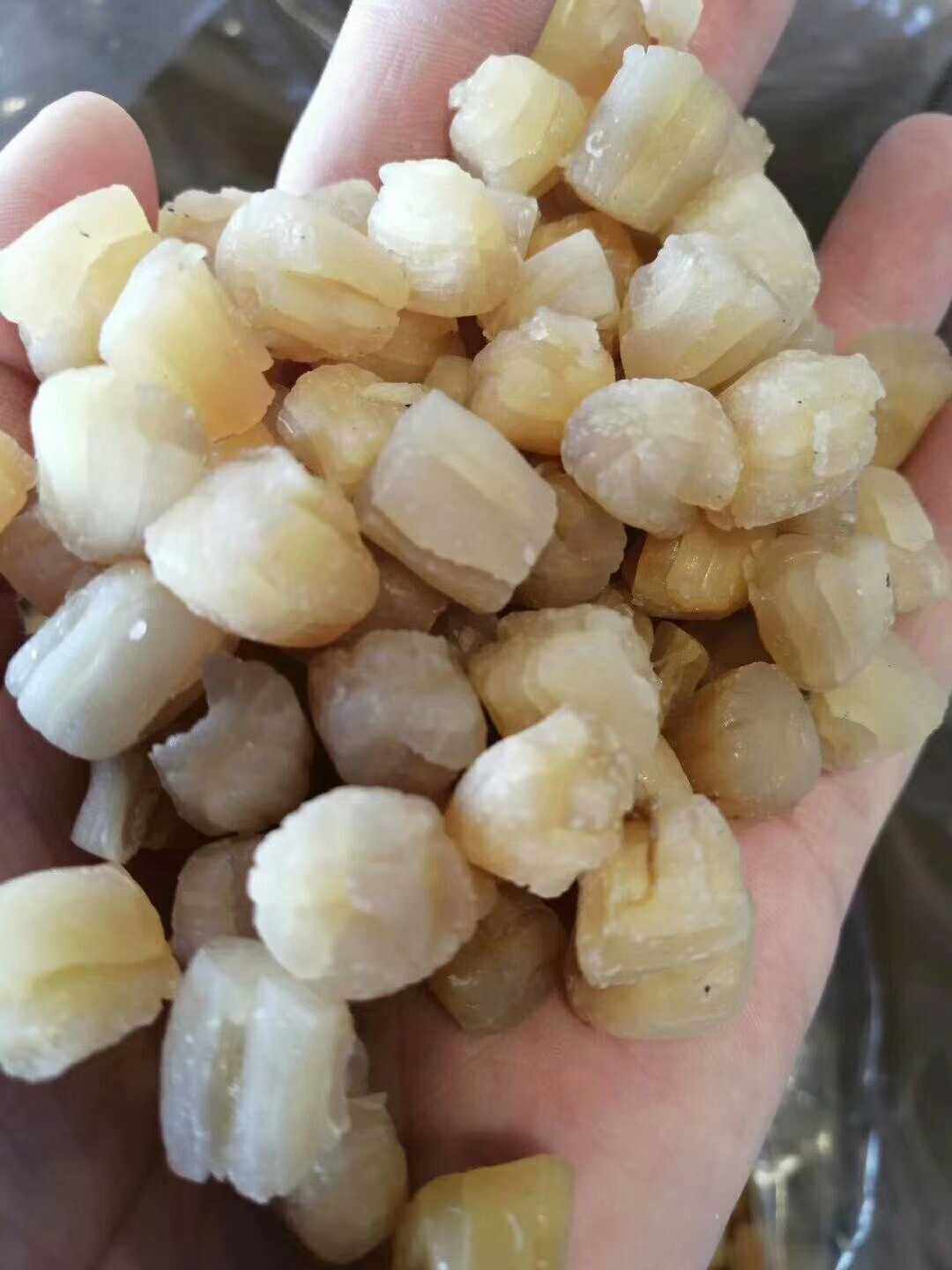 福建特产特级优选可即食大干贝
