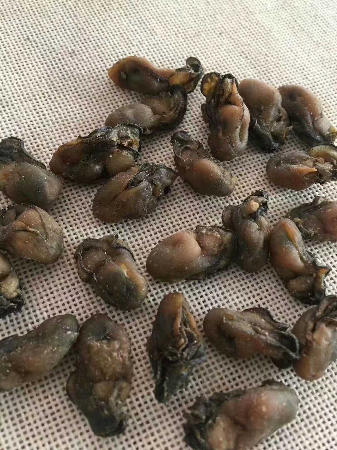 福建特产海鲜干货纯天然日晒海蛎干特产500克