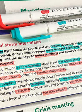 日本zebra斑马荧光色笔淡色双头标记笔学生用做笔记彩色手帐安利