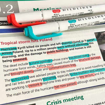 日本zebra斑马荧光色笔淡色双头标记笔学生用做笔记彩色手帐安利