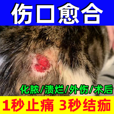 专治宠物各种伤口无效果马上退