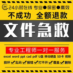 ppt.excel.word.psd文件修复损坏WPS文档表格U盘乱码远程数据恢复