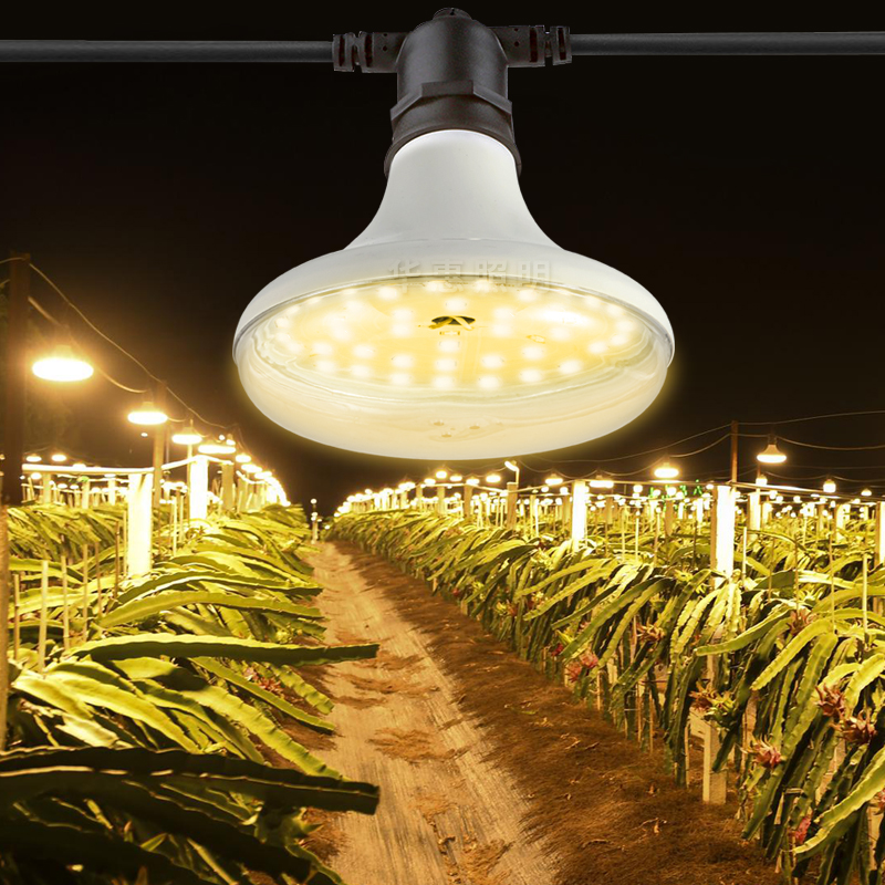 LED植物生长灯仿太阳光房设计花