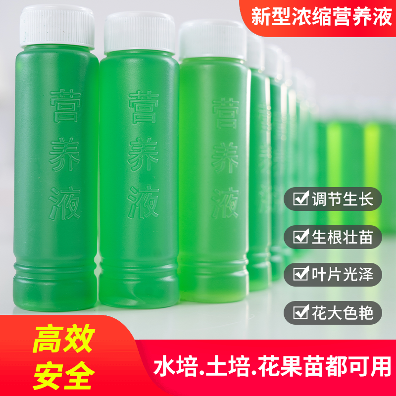 水培植物花木富贵竹绿箩营养液