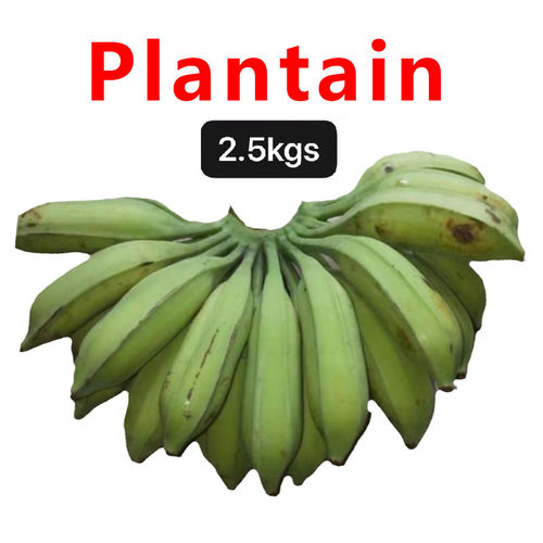 Plantain野生芭蕉新鲜广东巴蕉