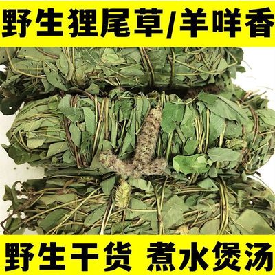 云南正宗野生狸尾草羊咩香干货狐狸尾巴草益肝草养肝护肝中药材