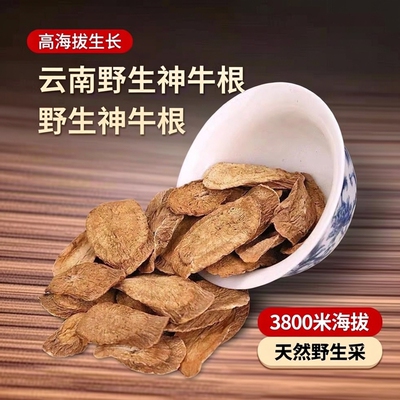 云南野生神牛根中药材牛3800米高海拔生长牛蒡根干货