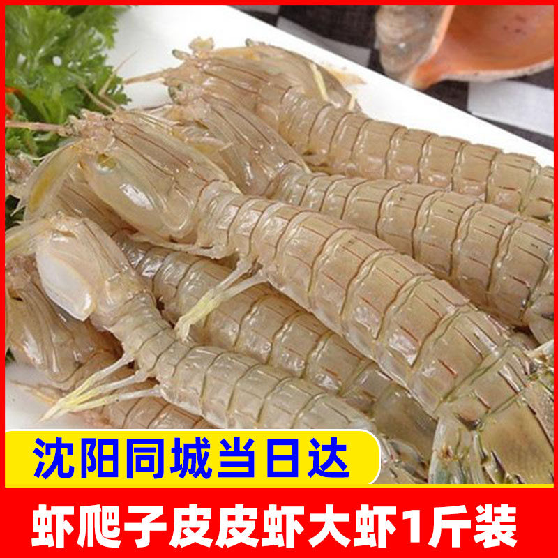 特大皮皮虾虾爬子鲜海虾大虾水产沈阳同城装食用特大保鲜不保活