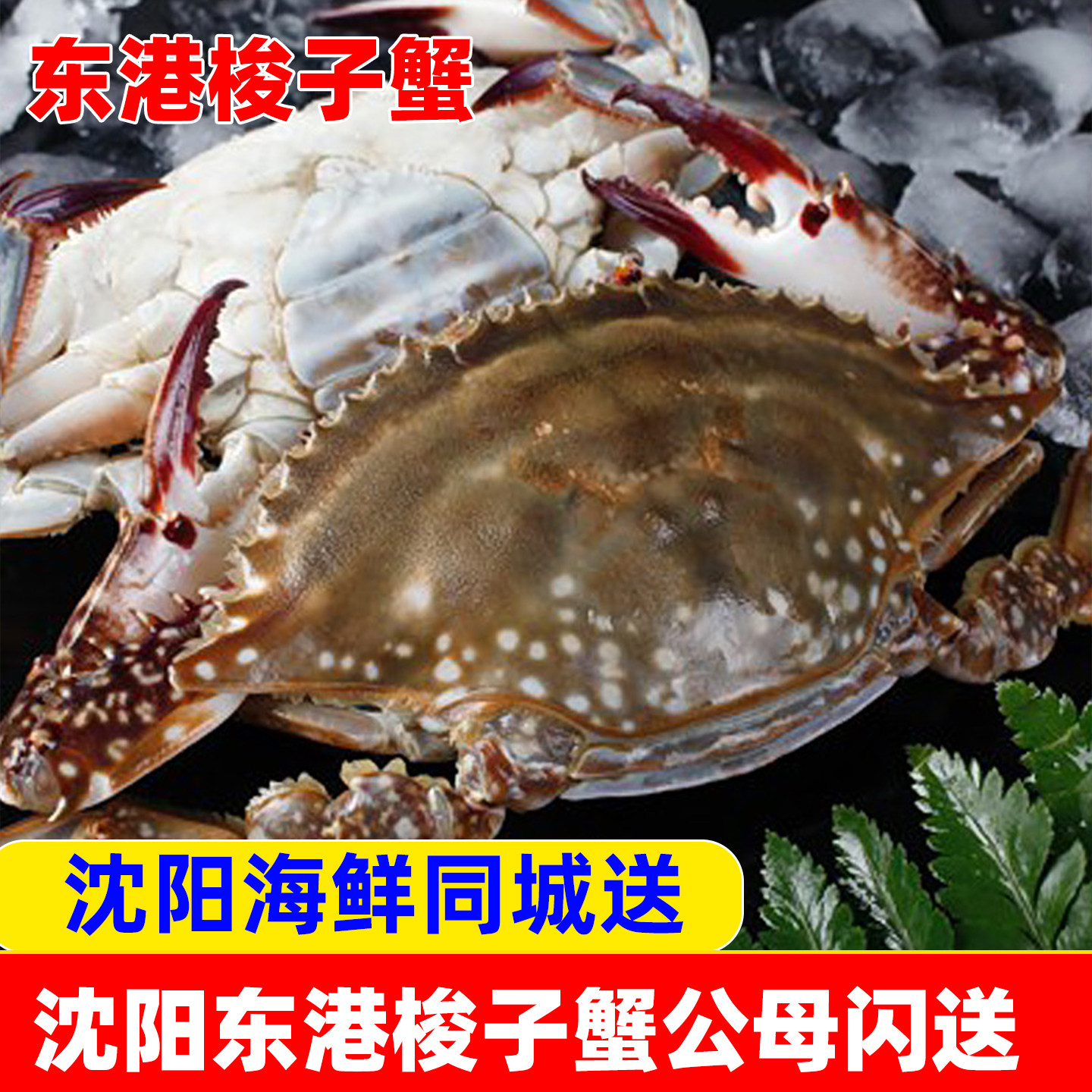 冻蟹沈阳梭子蟹飞蟹螃蟹闪送海鲜辽宁东港冰鲜两只礼过年水产公母
