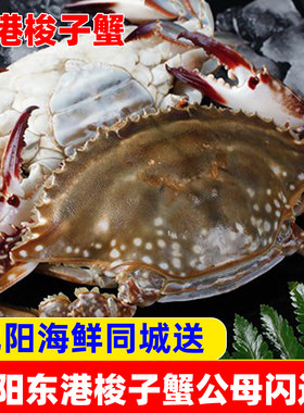 沈阳梭子蟹飞蟹闪送海鲜辽宁东港
