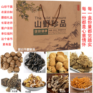 山珍礼盒野生菌菇河南洛阳土特产年货大礼包定制干货送长辈纯手工