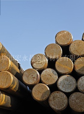 德标CK22（1.1151）圆钢 圆棒 小圆棒 钢板 碳素结构钢 碳钢棒