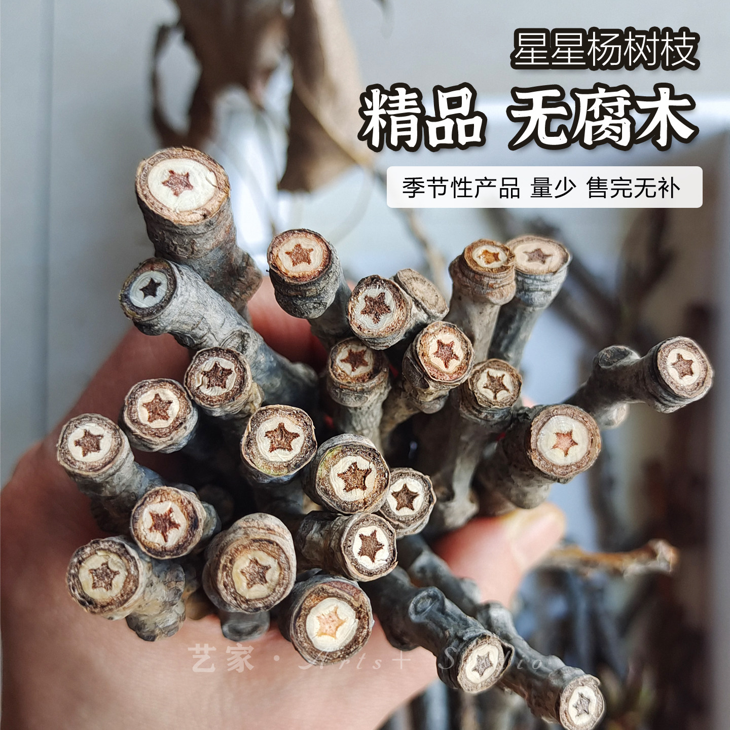 藏在树枝里的浪漫天然星星树枝