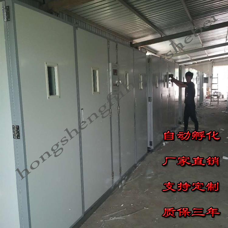 智能孵化设备孵化器蛋车型全自动孵化机1万枚大型孵蛋机器设备