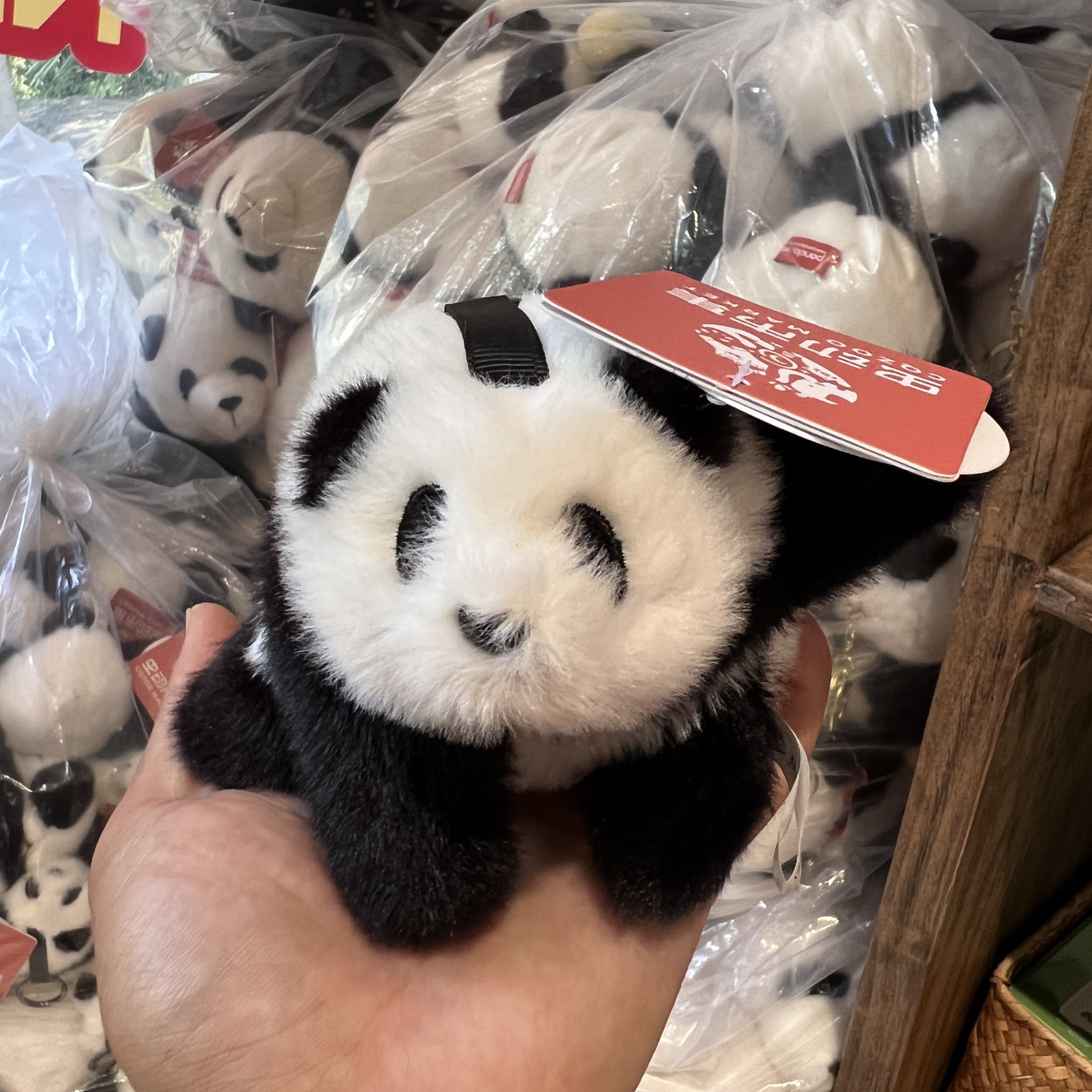 重庆动物园大熊猫渝爱蜘蛛熊挂件代购
