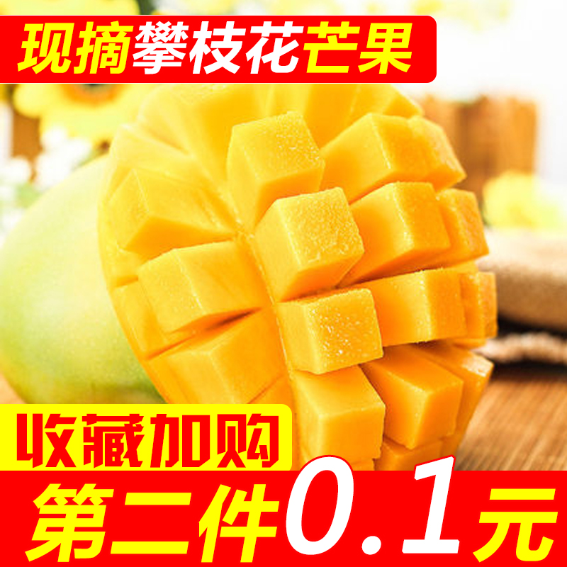 桃小蒙 四川攀枝花凱特大芒果新鮮包郵整箱當季水果批發現摘現發