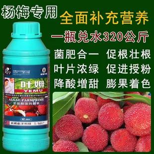 杨梅树专用肥料叶面肥果树肥料专用复合肥料农用大全正品保障
