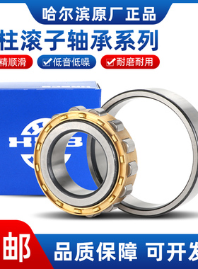 哈尔滨圆柱滚子轴承N RN 205 206 207 208 209 210 211 212 213 M