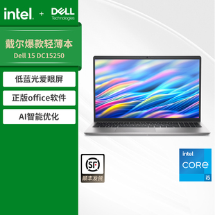 DELL15 戴尔 DELL 15.6英寸英特尔酷睿i5笔记本电脑学生商务办公轻薄便携本官方旗舰DC15250 超值爆款