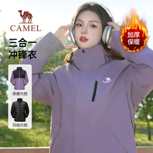 骆驼冲锋衣3514女装 凝夜紫2025春秋户外三合一登山服防水防风外套