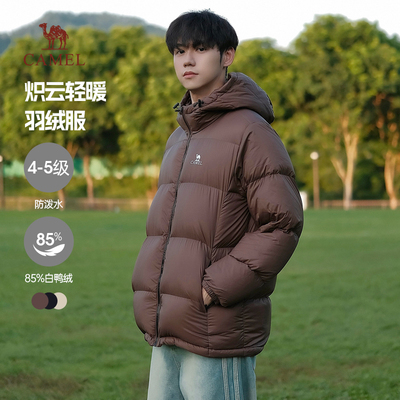 骆驼连帽短款小红书羽绒服