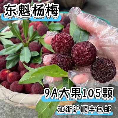 仙居东魁杨梅当季新鲜劳模杨梅