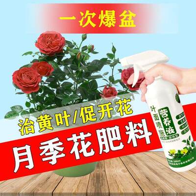 喜酸性植物营养液月季营专用肥养液防黄叶不开花催花促花叶面喷施