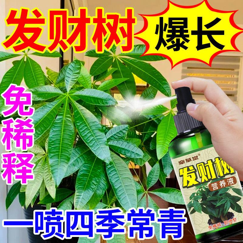 喜酸性植物营养液发财树营养液【免稀释】叶养花专用通用生根药水