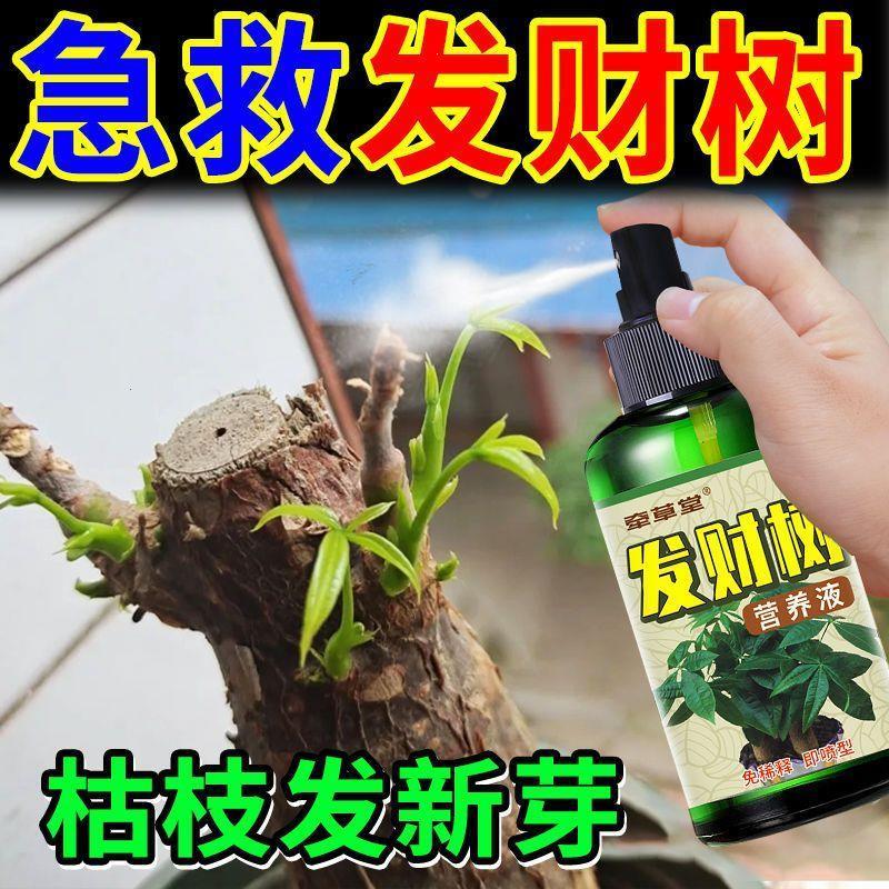 发财树营养液【快速发新芽】无发黄掉叶防沤根烂根家用肥料免稀释