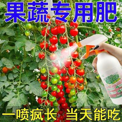 植物通用活力素种菜专用肥菜多多果蔬通用营养液青菜辣椒番茄专用