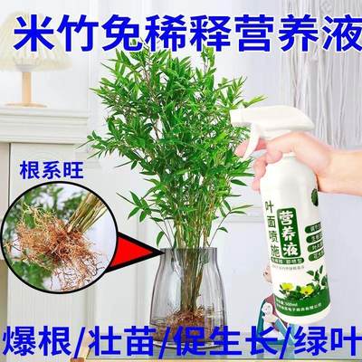 花草营养液通用米竹营养液竹子凤尾竹植物肥料水培叶面喷施叶绿素