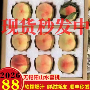 正宗无锡阳山水蜜桃白凤桃湖景桃日川甜软桃礼盒孕妇小孩当季水果