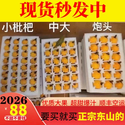 正宗苏州东山白玉枇杷甜端午礼盒