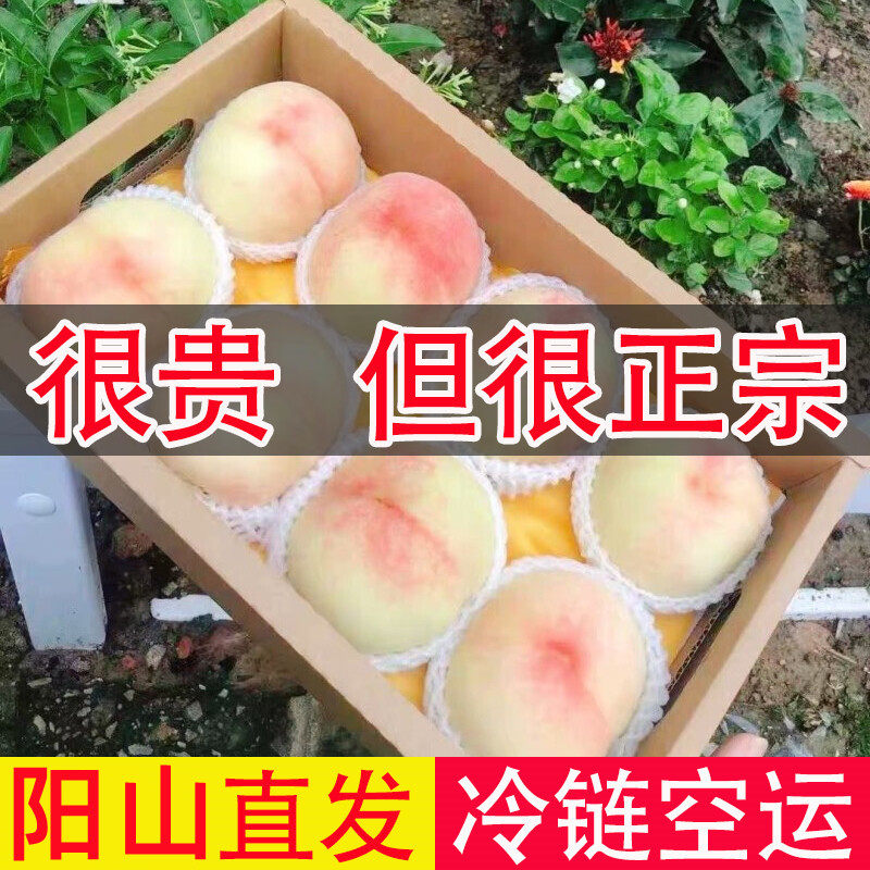 正宗无锡阳山水蜜桃白凤桃湖景桃6两8个大软桃甜蜜多汁端午送礼盒