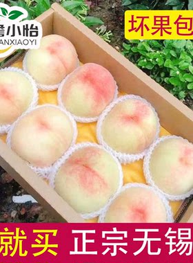 正宗无锡水蜜桃白凤桃湖景桃王甜