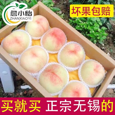 正宗无锡水蜜桃白凤桃湖景桃王甜