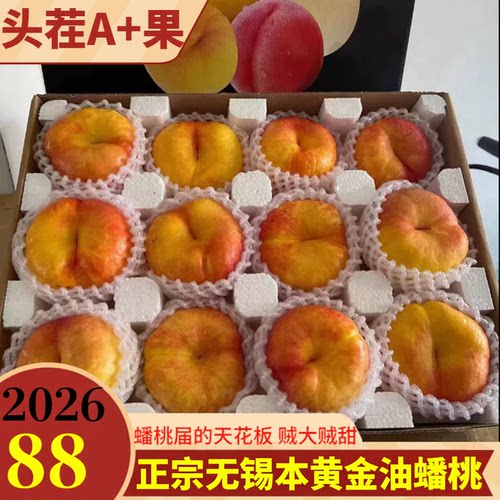 无锡黄金油蟠桃黄心彩虹蟠桃甜蜜