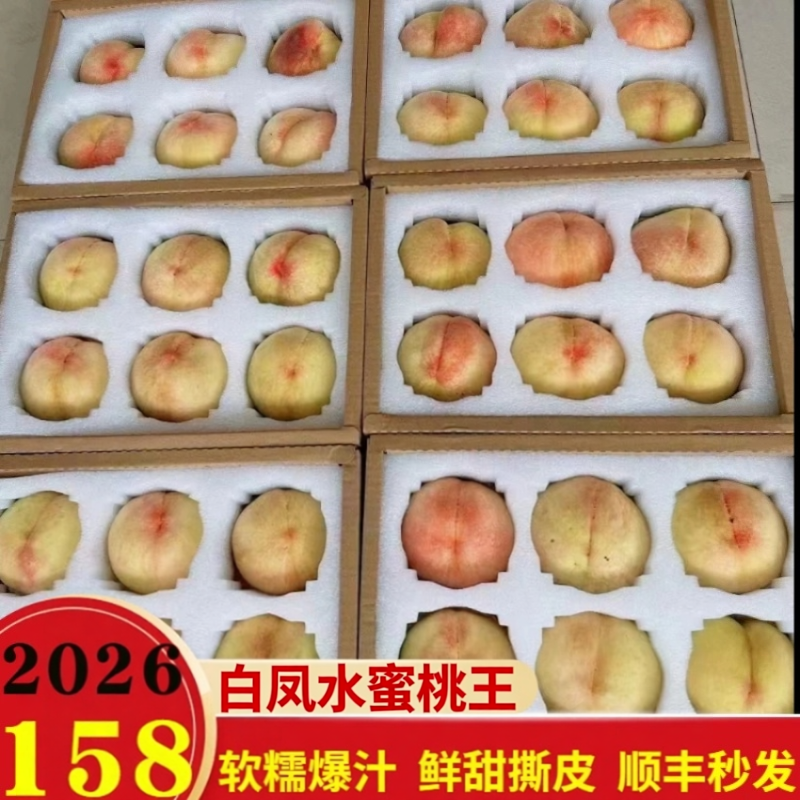 正宗无锡阳山水蜜桃白凤桃王大软桃甜蜜多汁孕妇新鲜水果端午礼物