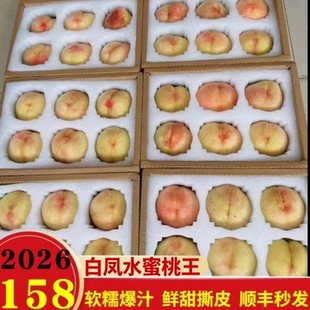 正宗无锡阳山水蜜桃白凤桃王大软桃甜蜜多汁孕妇新鲜水果端午礼物