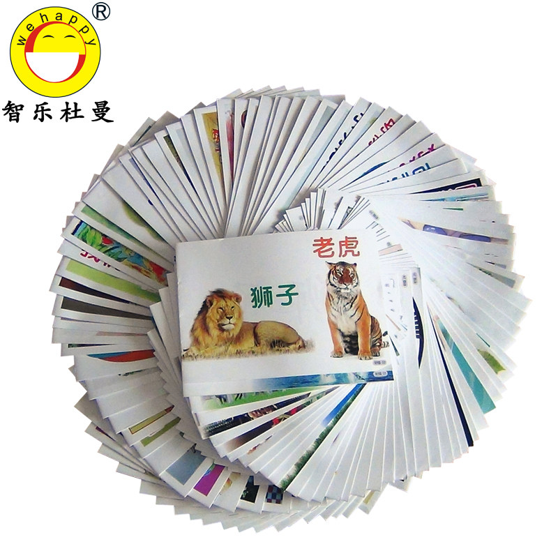 智乐杜曼闪卡 中文自制书阅读图画绘本 儿童识字拓展学习读物