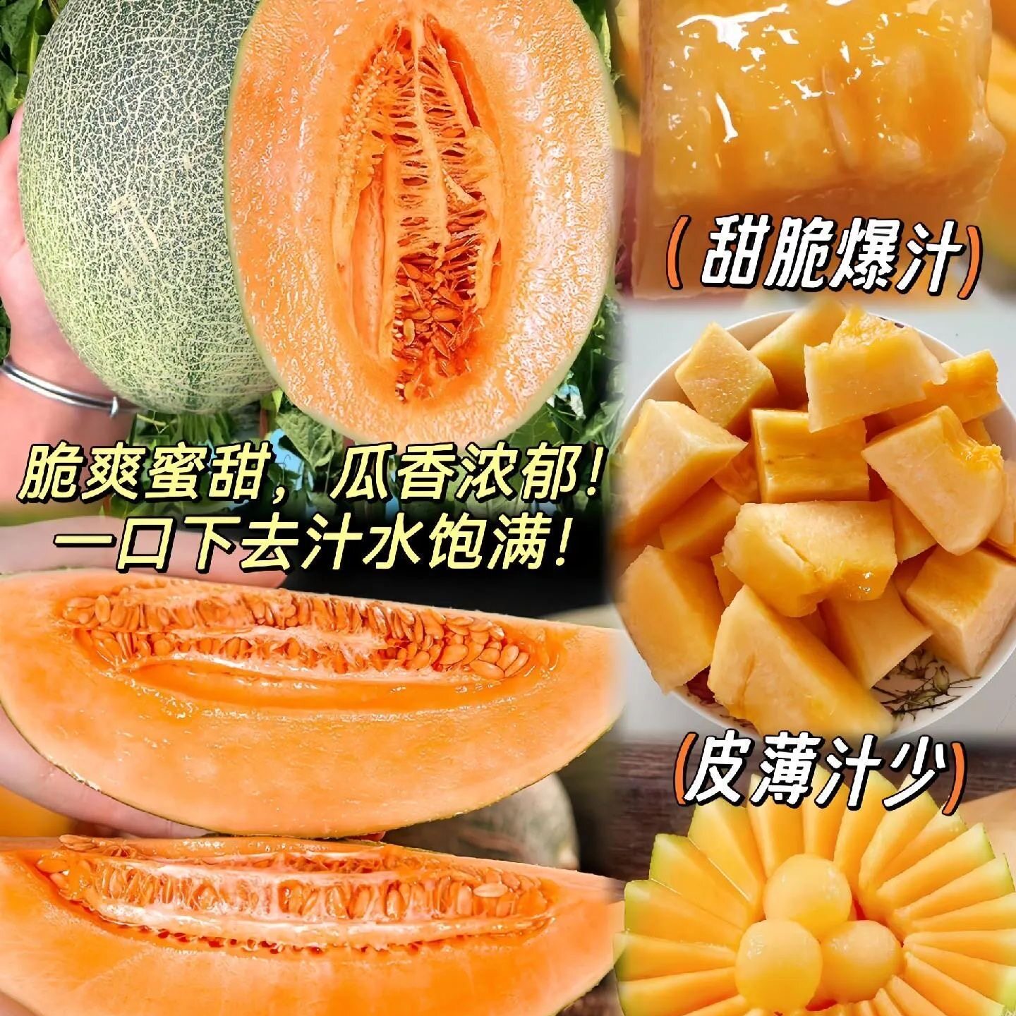哈密瓜新鲜水果蜜瓜西州蜜海南甜瓜当季现摘产地直发新鲜蔬果批发