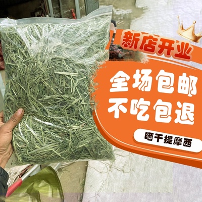 龙猫干草牧草物语磨牙