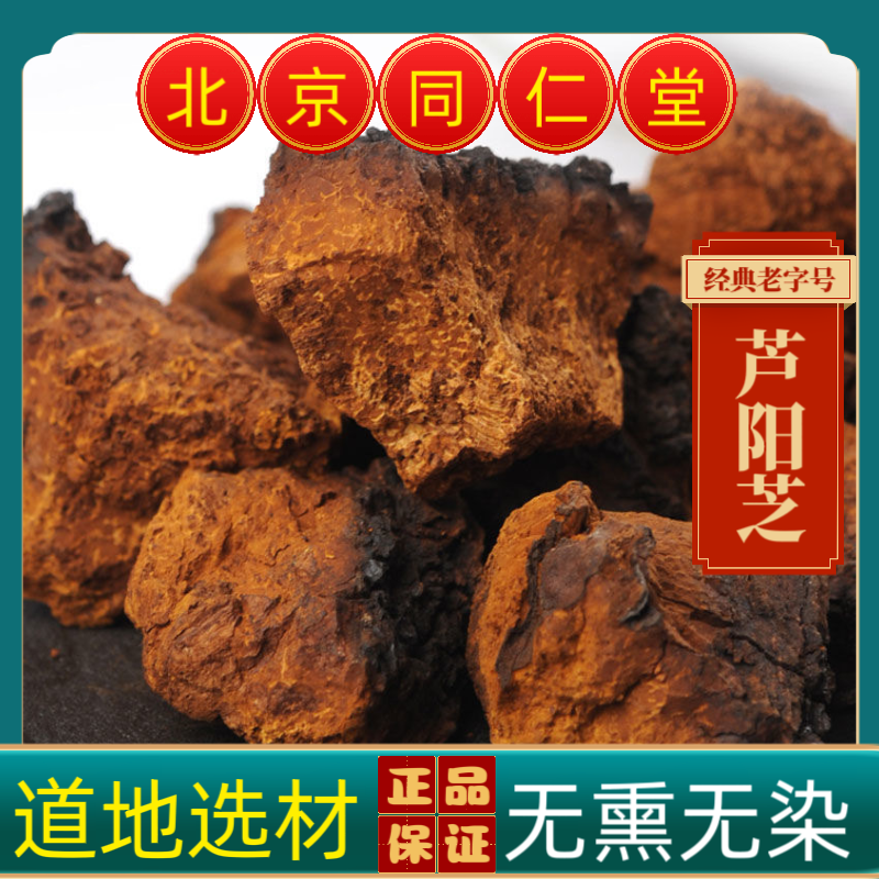 同仁堂中药材芦阳芝中药材芦阳芝大粒 西藏野生芦阳芝正品芦阳芝