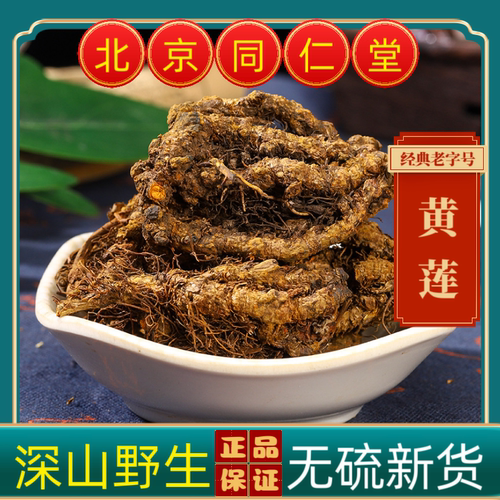 同仁堂黄莲中药材黄莲 正宗四川野生黄莲中药材黄连 鸡爪黄莲川莲